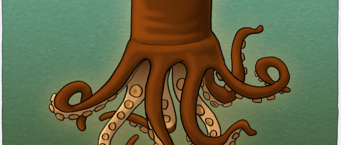 Schoktopus