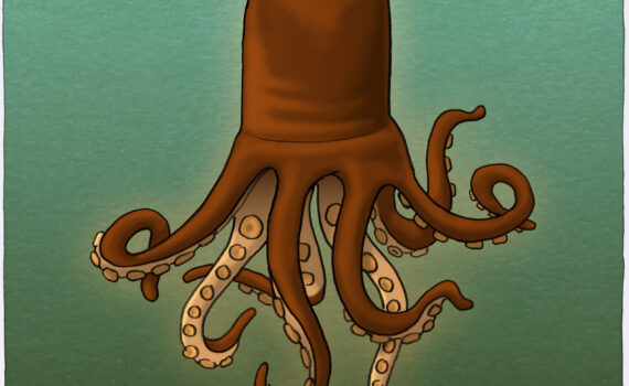 Schoktopus